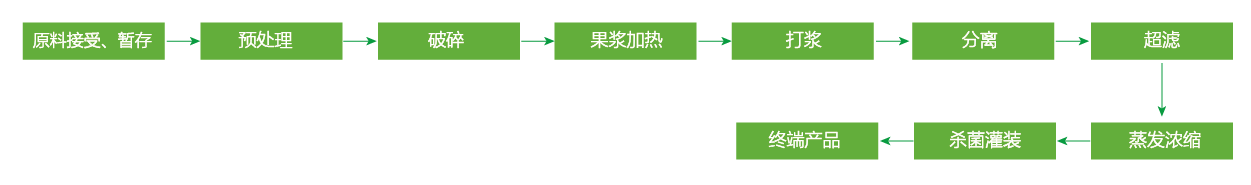 蓝莓、草莓、桑葚浓缩汁